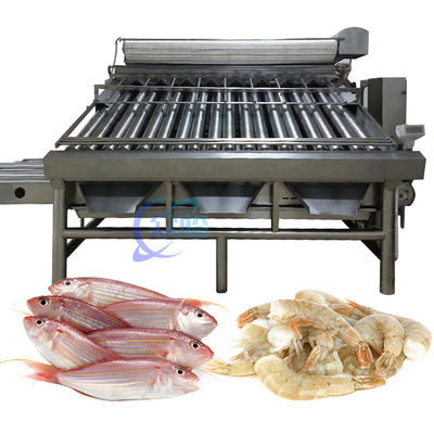 Durable 380V Fish Grading Equipment , Anti Erosion Fish Sorting Machine