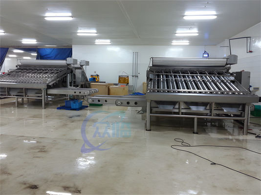 Durable 380V Fish Grading Equipment , Anti Erosion Fish Sorting Machine