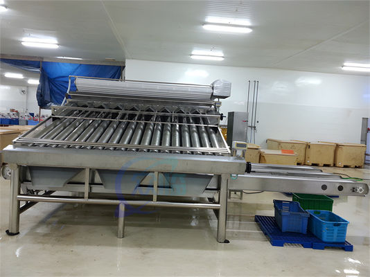 Durable 380V Fish Grading Equipment , Anti Erosion Fish Sorting Machine