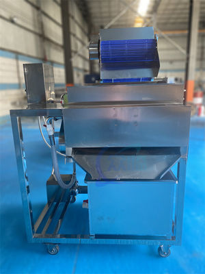 1500W Stable Fish Processing Plant Equipment , Industrial Shrimp Whisker Separator