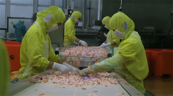 ISO SUS304 Shrimp Heating Steam Cooker , Multipurpose Shrimp Processing Plant