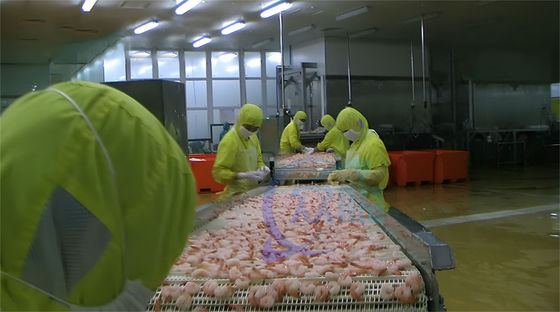 ISO SUS304 Shrimp Heating Steam Cooker , Multipurpose Shrimp Processing Plant