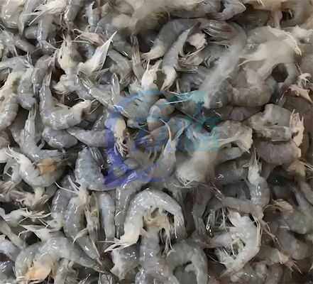 Head removal machine for shrimp processing production line