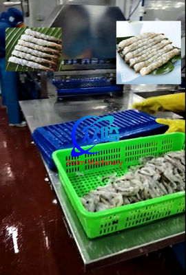 Хорошая цена Автоматическая креветочная растяжка Tempura, машина NOBASHI, линия креветочных растяжек онлайн