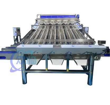 Хорошая цена 4900W SUS304 Машина для сортировки креветок, прочная машина для сортировки промывки креветок онлайн