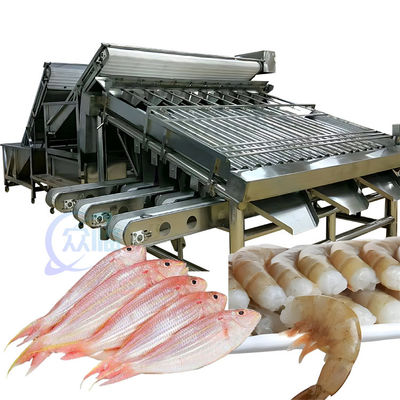 Хорошая цена Машина для сортировки морепродуктов ISO 1500KG, многофункциональный сортировщик размеров рыб онлайн