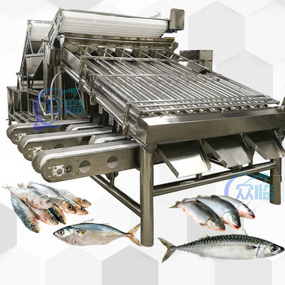 Хорошая цена Высокоскоростная сортировочная машина Saury Saury Roller Grader 5 человек онлайн