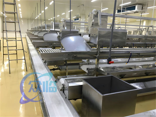 Хорошая цена 1506kg Линия производства морепродуктов Нержавеющая сталь Рабочий стол на заказ Линия обработки рыбы и креветок Конвейерная лента онлайн