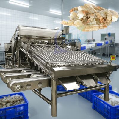 Хорошая цена Промышленная креветочная сортировочная машина для обработки креветок водонепроницаемая креветочная сортировочная машина автоматическая креветочная разметка онлайн
