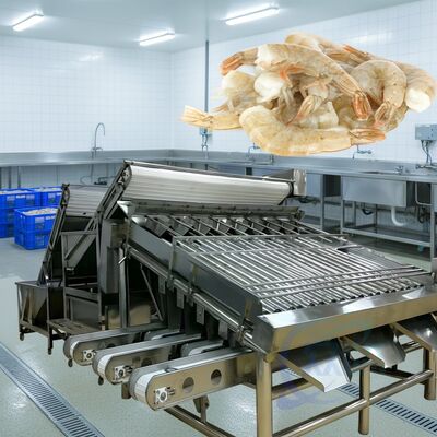 Хорошая цена Устойчивая роликовая креветка для сортировки креветок 1500 кг-2000 кг/ч Роликовая креветка сортировщик высокоустойчивая роликовая креветка для размера креветок для морепродуктов онлайн