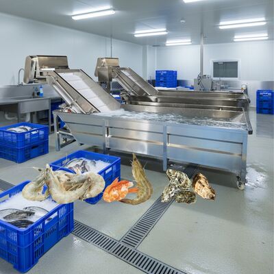 Хорошая цена Машина для мытья рыбы с пузырьками Zolim 2.2kw Машина для мытья рыбы Smart Shrimp Machine для фабрики по переработке морепродуктов онлайн