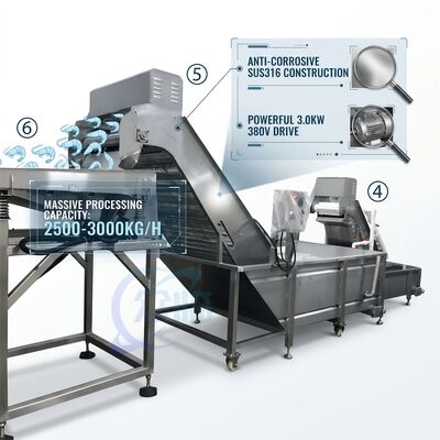 Хорошая цена Производственная линия для обезглавливания креветок повышенной прочности, прецизионная SUS316, 1000-1500 кг, 11,7 кВт, 415 В онлайн