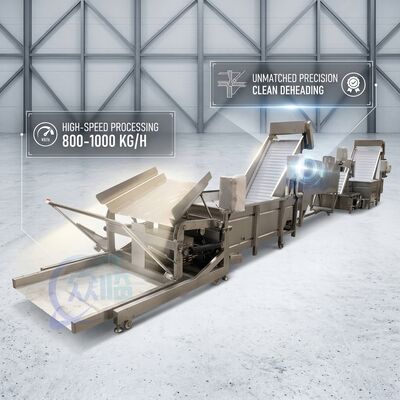 Хорошая цена SUS316 Shrimp Deheading System Food Grade SUS304 800-1000KG 3.0KW 415V For Fish Processing Plant онлайн
