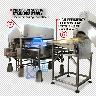 Хорошая цена Rugged Shrimp Head Separator SUS304 Stainless Steel 800-1000KG 15KW 440V For Shrimp Processing Plant онлайн