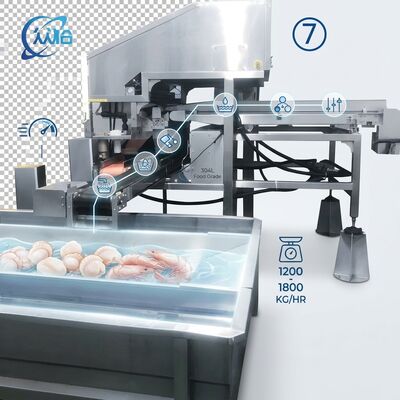 Хорошая цена High Output Shrimp Processing Machine Hygienic SUS304 500-800KG 0.8KW 220V For Seafood Export Company онлайн