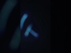 SUS304 Практическая машина для очистки креветок, многоцелевой сепаратор отходов от креветок